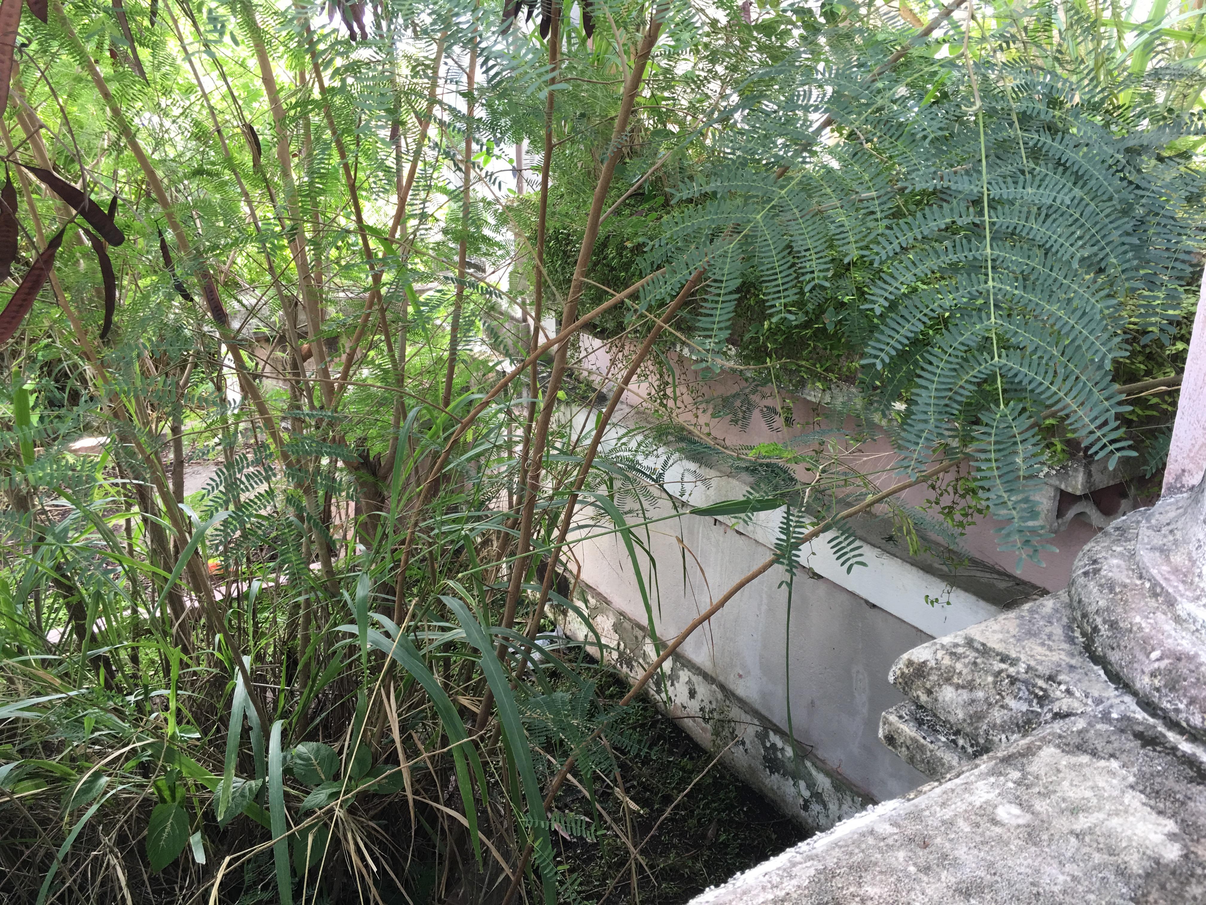 Castillo Villa del Mar - Naguabo - 2015 00069